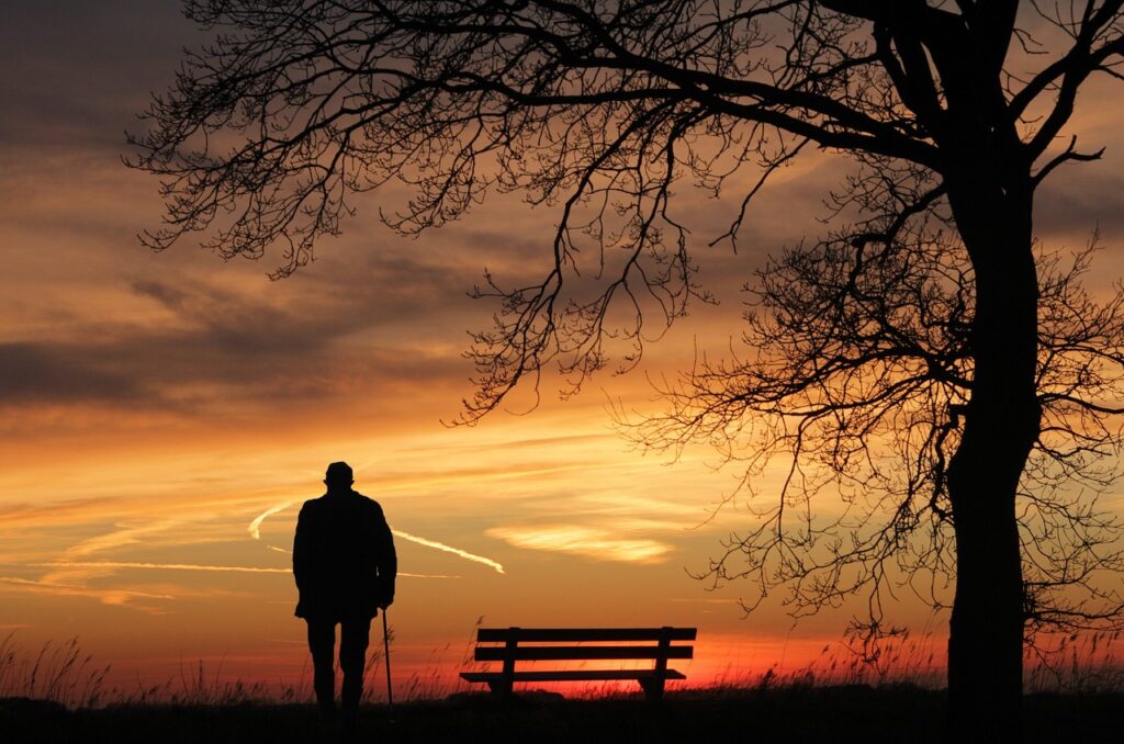 sunset, tree, silhouette-3156176.jpg